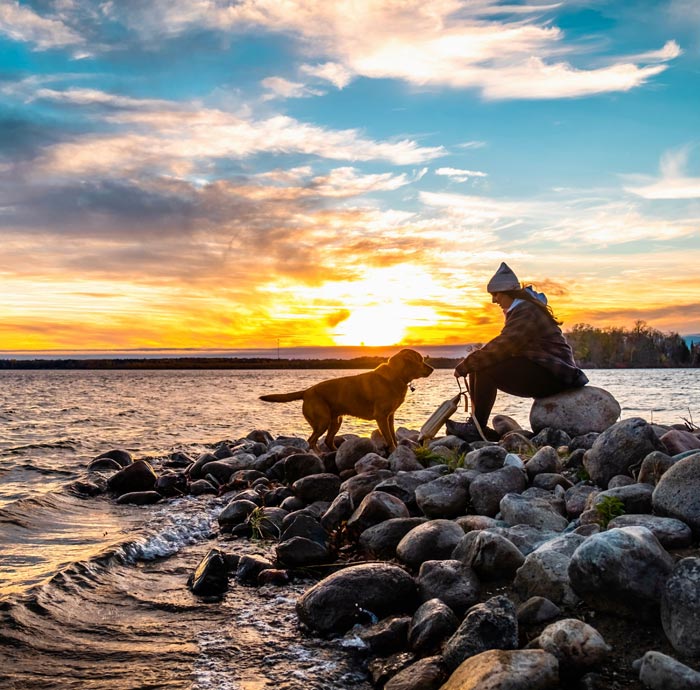 Person and dog on rocky shore at sunset.